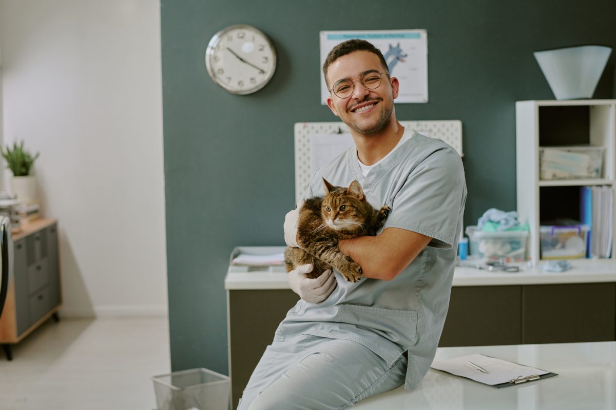Veterinarian holding a cat in clinic.