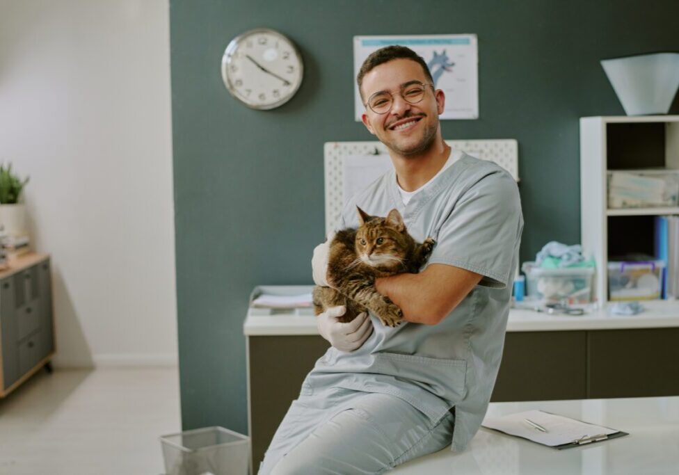 Veterinarian holding a cat in clinic.